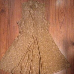 Wild Fable Gold/Bronze Shimmer Mini Dress
